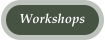 Workshops